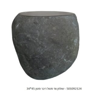 שולחן צד סטול ריבר סטון פרטיפייד עץ מאובן