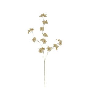 ענף בלוסום מילקי-שישייה